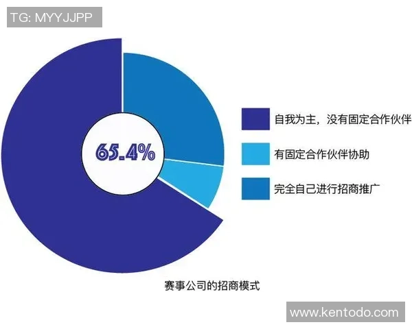 武汉足球队运营模式解析与未来发展展望